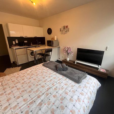 Appartamento Nid Douillet De La Pie Strasburgo Esterno foto